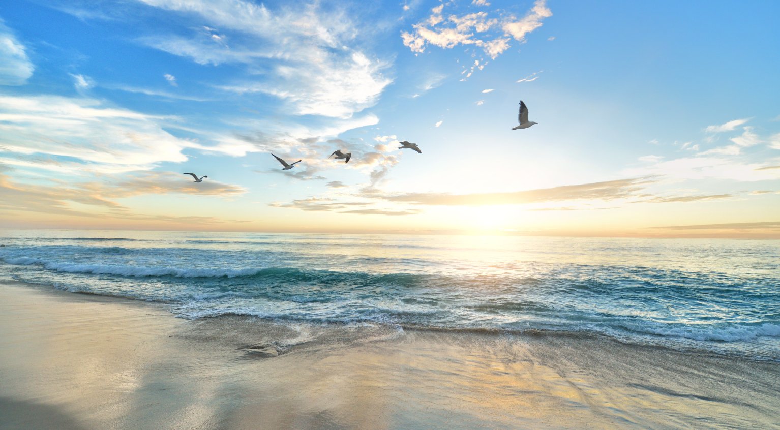 Strand, ferie og sommer