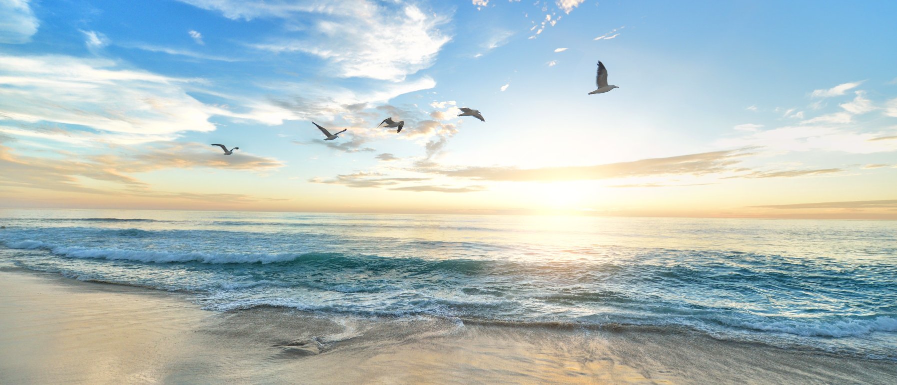 Strand, ferie og sommer